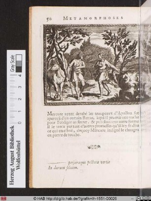 Battus en pierre de touche.