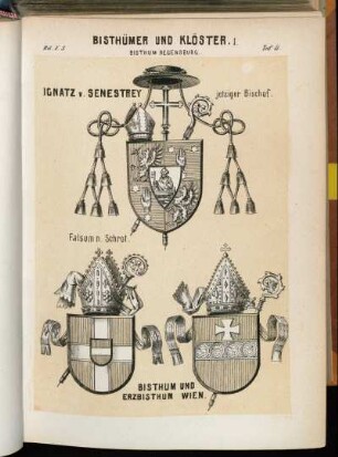 Taf. 11. Bistum Regensburg. - Ignatz v. Senestrey jetziger Bischof. - Falsum n. Schrot. - Bisthum und Erzbisthum Wien