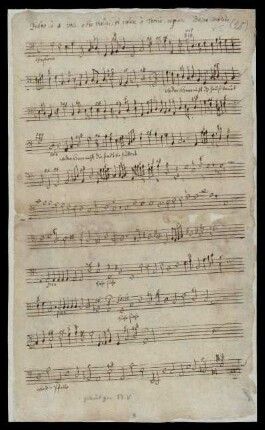 Psalmo à 4 voci, e due Violini, et Violone ò Teorba, se piace. Basso continuo