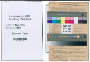Entnazifizierung Theo Pannes , geb. 07.09.1912 (Buchhalter)