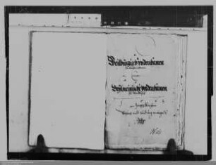 Nassau-Weilburgische Einwohner zu Reichenborn ./. Nassau-Beilsteinische Einwohner zu Winkels: Weiderechte und Pfändung von Vieh