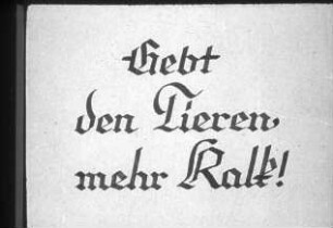 Schulungsmaterial/Lehrmittel: Filmband "Gebt Tieren mehr Kalk!"