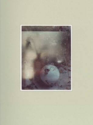 Polaroid #13