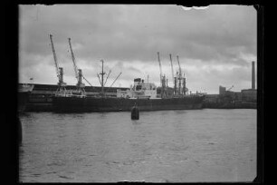 Aegir (1955), Seereederei Frigga, Hamburg