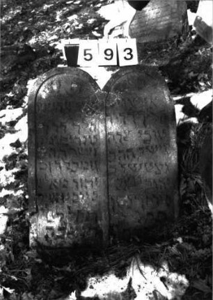 Grabstein 593