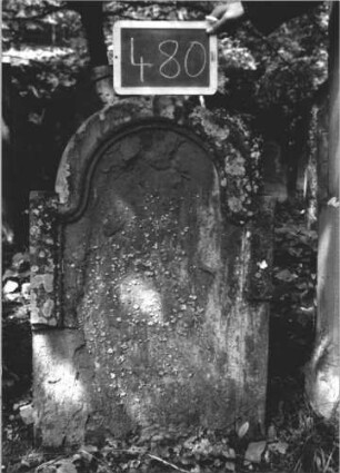 Grabstein 480 (Index: 99895573) Material: Sandstein Zustand: abgeblättert Maße HxBxT: 90x60x10 cm Beschreibung: Stele mit eingezogenem Rundbogenabschluss: Grabstein 480