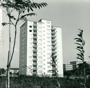 Fotowettbewerb,1966-1969