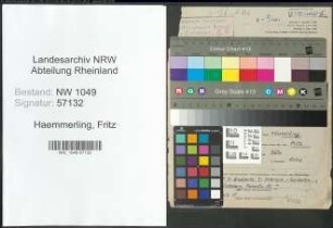 Entnazifizierung Fritz Haemmerling , geb. 13.07.1905 (Finanzangestellter)