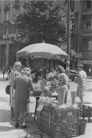 Berlin. Blumenstand auf einer Geschäftststraße