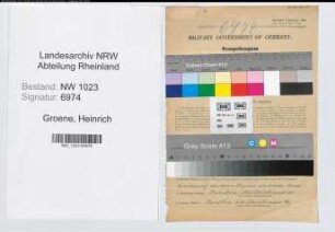 Entnazifizierung Heinrich Groene , geb. 08.09.1911 (Arzt)