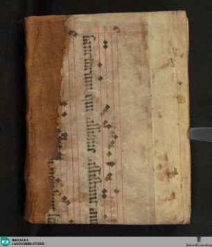 Collectanea Medica - Cod. Rastatt 71