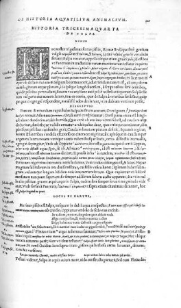 Historia Trigesima Quarta. De Salpa