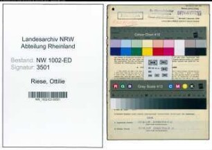 Entnazifizierung Ottilie Riese, geb. 15.07.1919 (Schulhelferin)