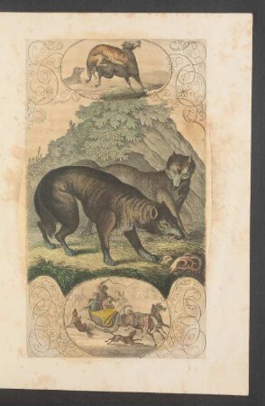 Tafel: [Der Wolf.]