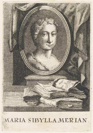 Bildnis der Maria Sibylla Merian