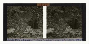 In Schlägel- und Eisenarbeit hergestellter teilweise verbrochener Schacht (18. Jahrhundert), "Kalter Baum" Hessen
