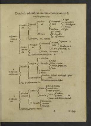 Diathesis adumbrans rerum connexionem & consequentiam.