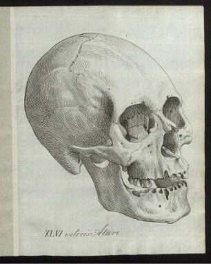 XLVI veteris Aturi