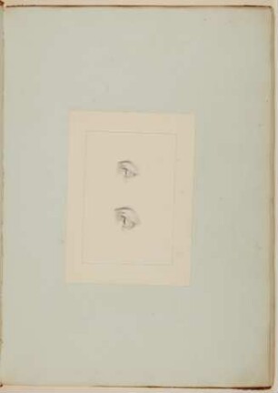 Das Auge einer Europäerin von zwanzig Jahren und das Auge eines männlichen Europäers von mittlerem Alter, von der Seite gesehen [Vorzeichnung zu Samuel Thomas Soemmerring, Abbildungen des menschlichen Auges, Frankfurt am Main 1801, Tafel I ("schattierte" Darstellung), Fig. 4 und Fig. 2]