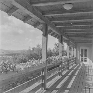 Jugendhaus Tröbigau : Tröbigau. Jugendhaus. Veranda