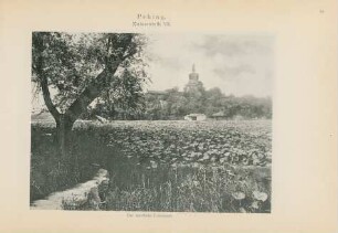 Peking. Kaiserstadt VII