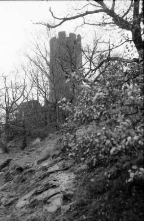 Freiburg, Zähringen: Zähringer Burg durch Bäume und Sträucher