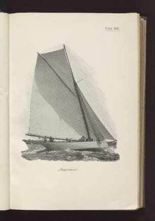 Tafel XIV "l'Espérance"