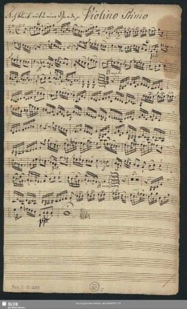Violino Primo