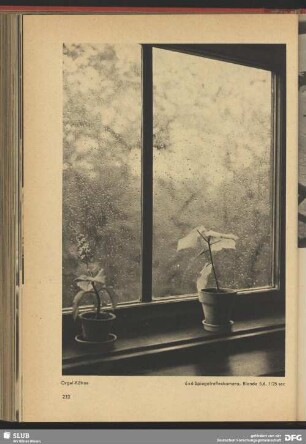 Fensterbank