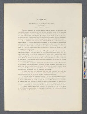 Tafel 62a. Besatzstücke talarartiger Gewänder.
