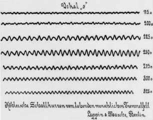 Köhlersche Schallkurven, Vokal o : Technikgeschichte | Physik | Akustik | Schallschwingungen und ihre photographische Wiedergabe