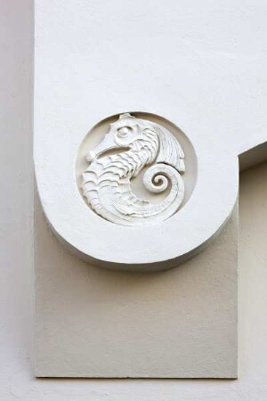 Seepferdchen