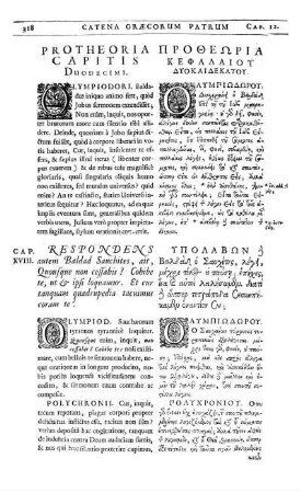 Protheoria Capitis Duodecimi.