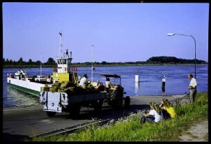 Kappel: Rheinfähre Kappel, mit landwirtschaftlichem Fahrzeug