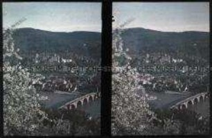 Blick über den Neckar auf das Schloss von Heidelberg