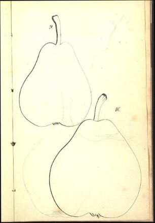 9. [Napoleons-Butterbirn] 10. [Diels-Butterbirn]