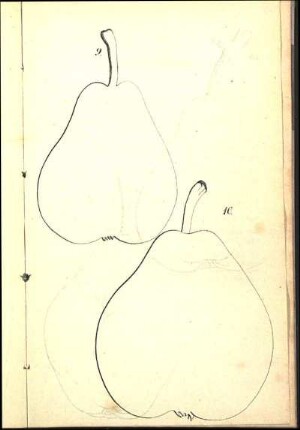 9. [Napoleons-Butterbirn] 10. [Diels-Butterbirn]