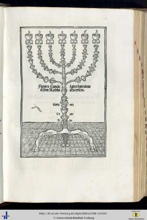 Figura candelabri luminis.