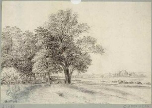 Landschaft am "Roten Haus" (Forst- und Gasthaus und Sitz des Hegereiters, später um 1880 Königliche Villa) an der Wasastraße (früher Dohnaer Straße) in Strehlen (Dresden-Strehlen)
