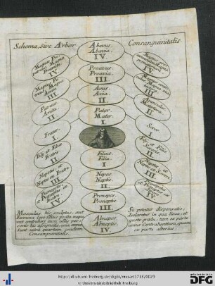 Arbor Consanguinitatis.