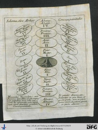 Arbor Consanguinitatis.