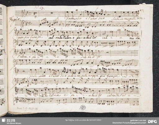Finché salvo è l'amor suo - Mus.1-F-82,21-26 : A, strings, b