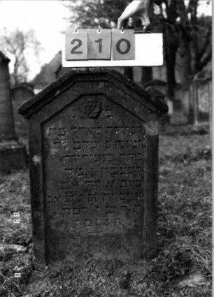 Grabstein 210 (Index: 99798764) Material: Sandstein Zustand: gut Maße HxBxT: 74x53x14 cm Beschreibung: Stele mit abgeflachtem giebelartigem Abschluß Symbolik: Blüte: Grabstein 210