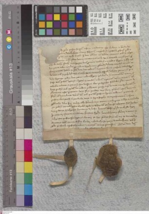 Klein-Welzheim: Gerlaci et Gerdrusis legitime ejus de Wellensheim recognitio, quod conventui in Selgenstadt super curiam suam quondam henrico merc...