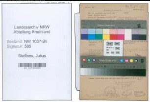 Entnazifizierung Julius Steffens , geb. 08.10.1904 (Kaufmann)