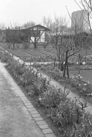 Große Anfrage nach Kleingartenanlagen in Karlsruhe