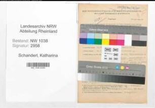 Entnazifizierung Katharina Schanderl , geb. 17.06.1896 (Lehrerin)