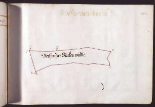 Nordheimer Hut: Nordhausener Birckenwäldle