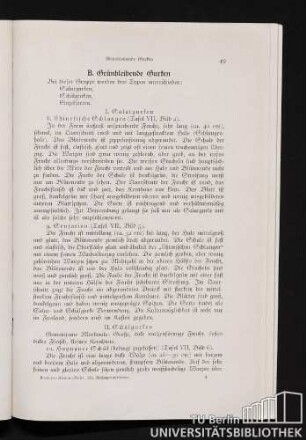 B. Grünbleibende Gurken