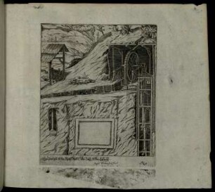 No. 11.
